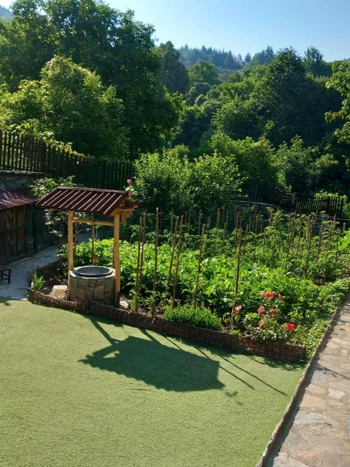 Hotel Тодорината Къща Leshten Esterno foto